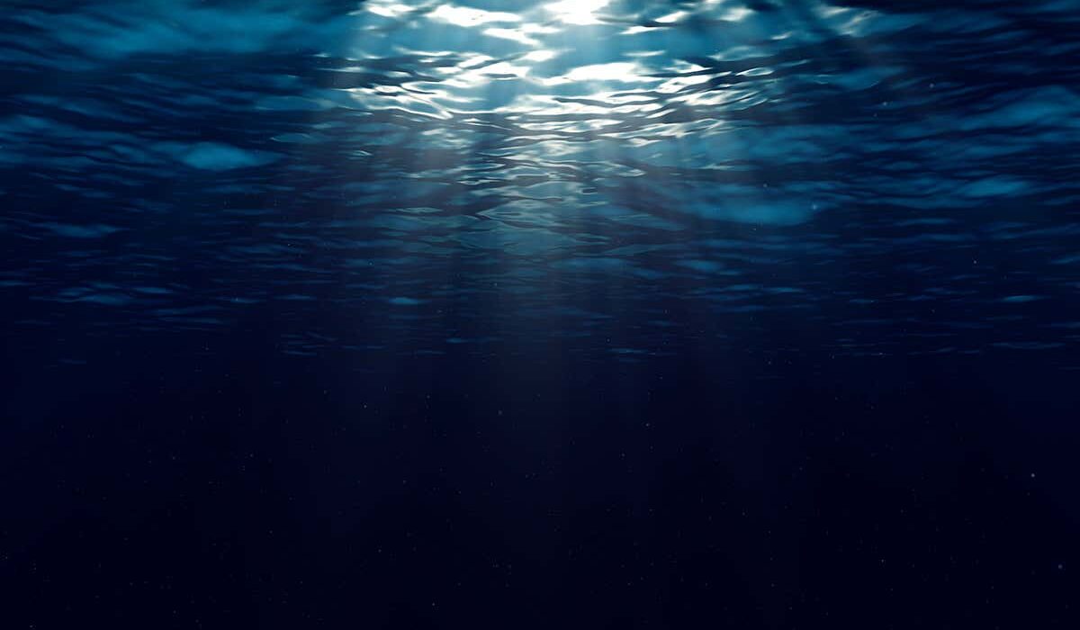 Is There an Unknown Creature Lurking in the Mariana Trench?
