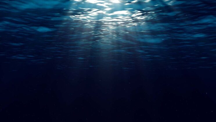 Is There an Unknown Creature Lurking in the Mariana Trench?