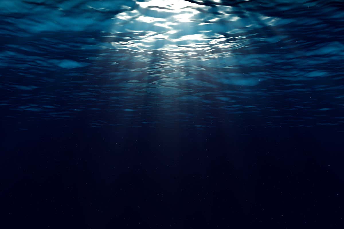 Is There an Unknown Creature Lurking in the Mariana Trench?