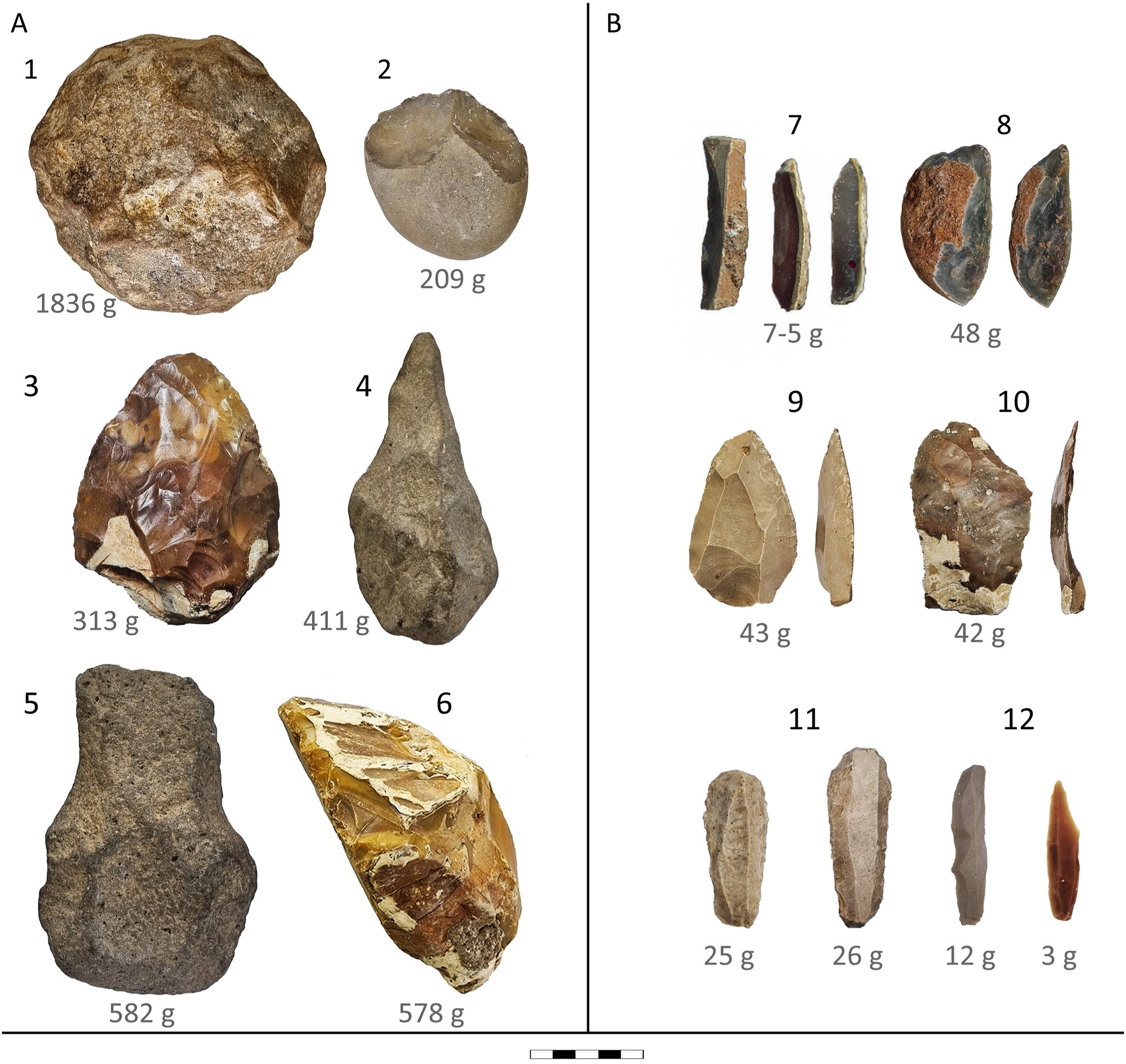 Ancient Humans Swapped Heavy Sledgehammers for Surgical Blades as the Giants Died Out