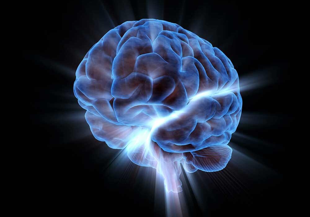 Is the Human Brain Actually Faster Than a Supercomputer?
