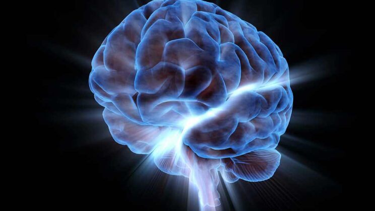 Is the Human Brain Actually Faster Than a Supercomputer?