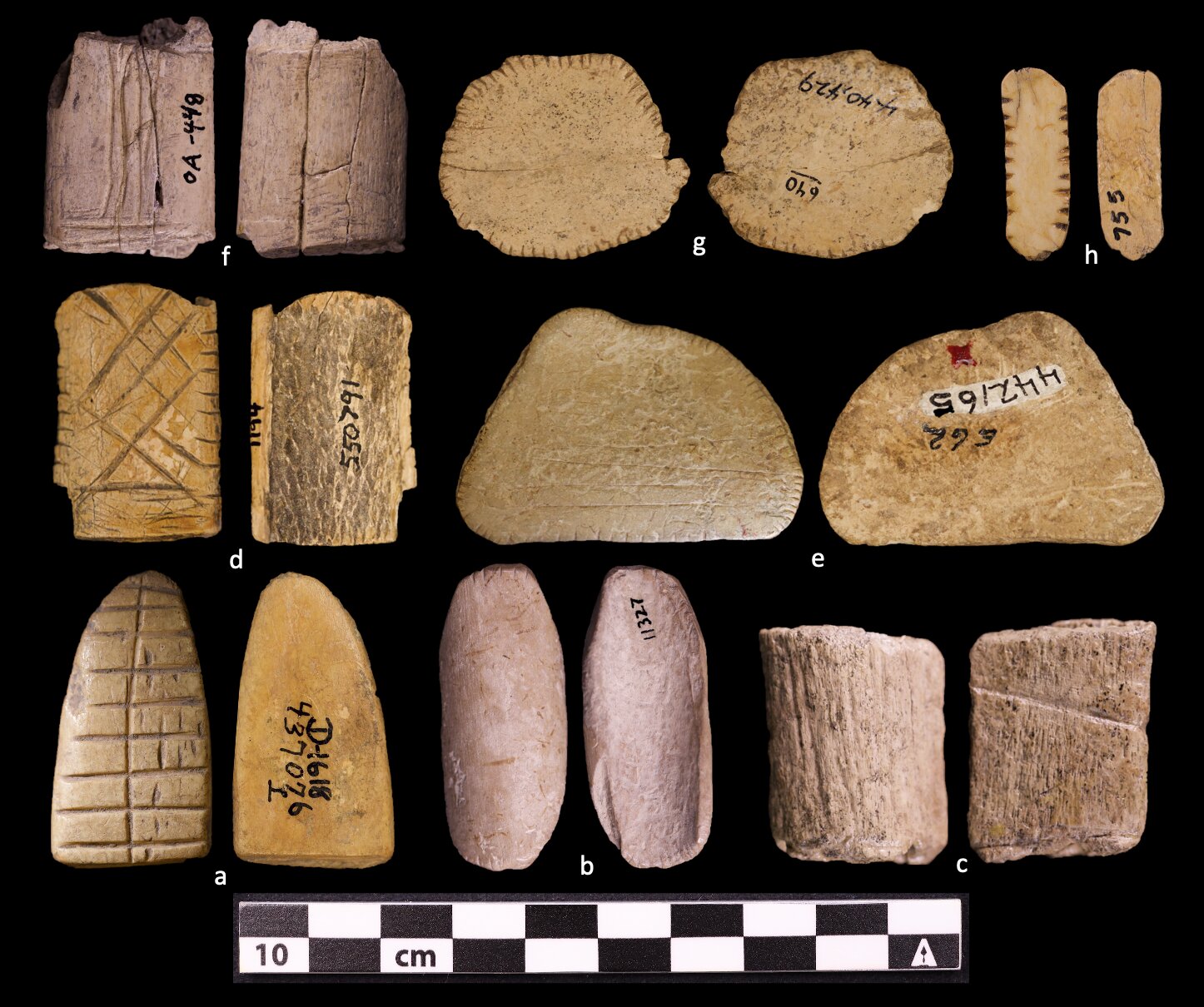 Ancient Bone Dice Prove Native Americans Beat the Old World to Statistics by 6000 Years