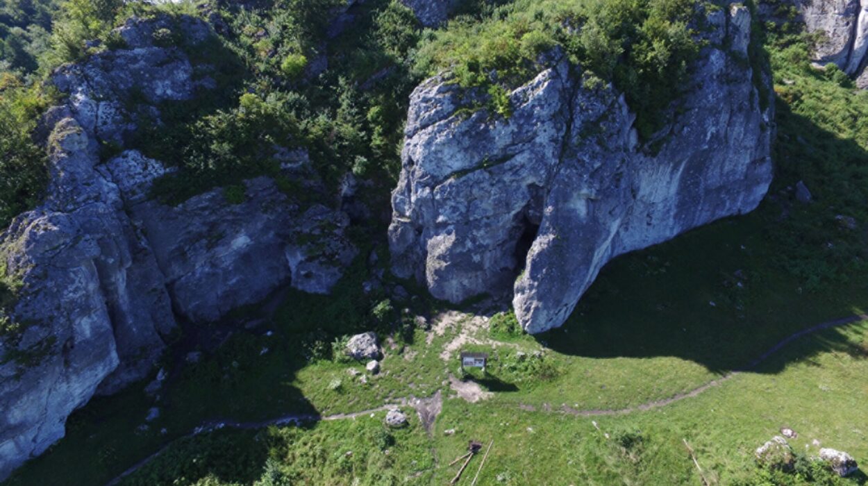 Ancient Teeth Reveal a Hidden Neanderthal Family Who Lived Together 100,000 Years Ago
