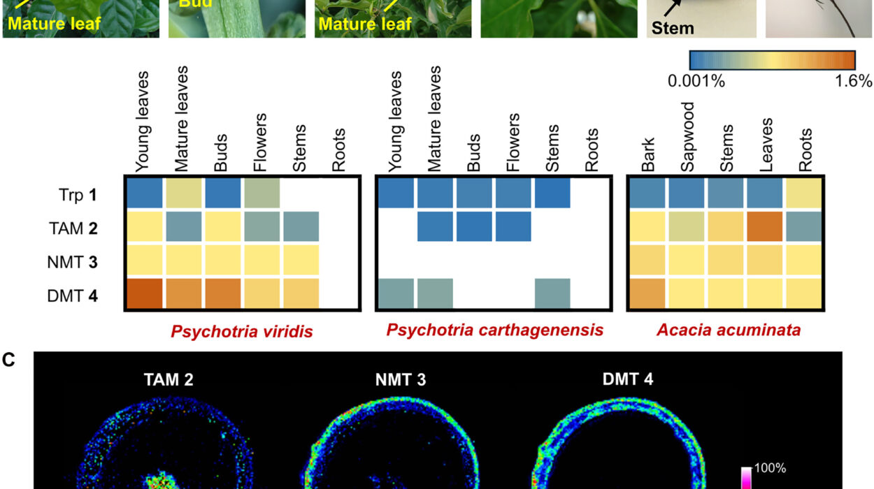 Scientists Turn Tobacco Plants Into Mini Factories for Life Saving Psychedelic Medicines
