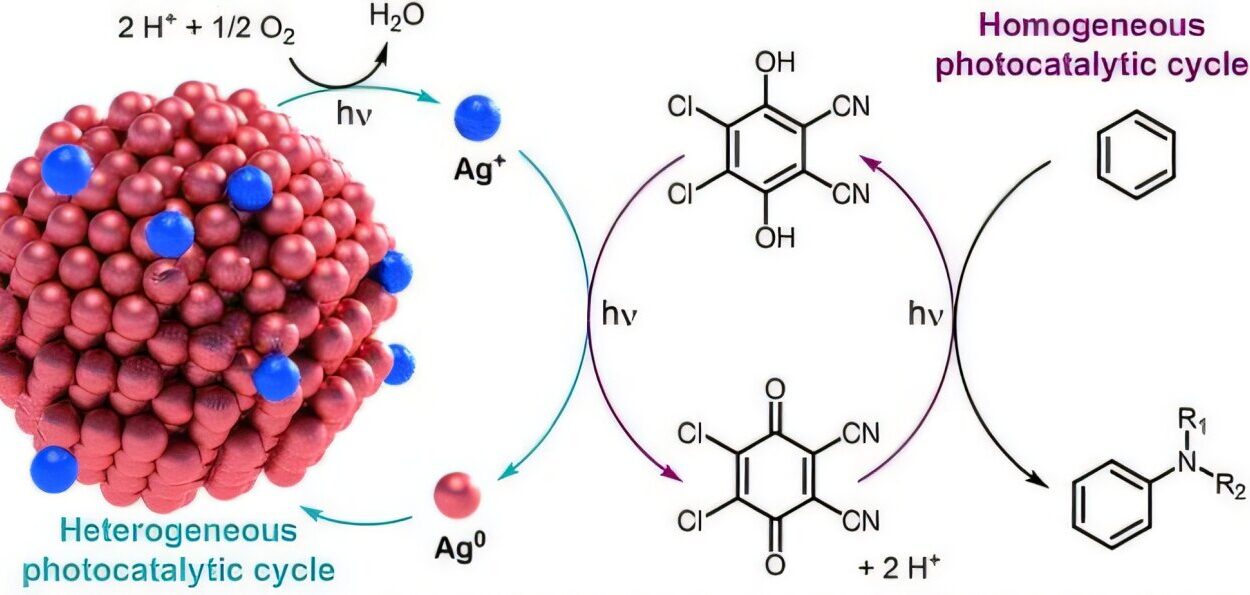This New Living Chemical System Breathes Air and Drinks Light to Create Medicine