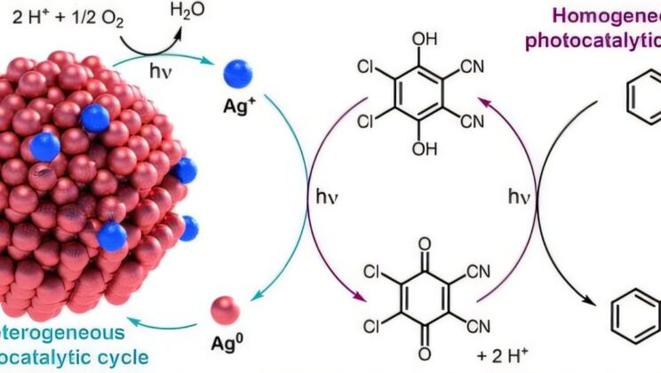 This New Living Chemical System Breathes Air and Drinks Light to Create Medicine