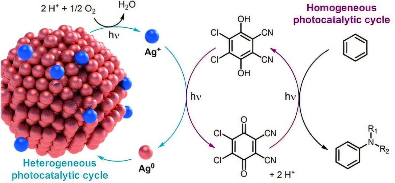 This New Living Chemical System Breathes Air and Drinks Light to Create Medicine