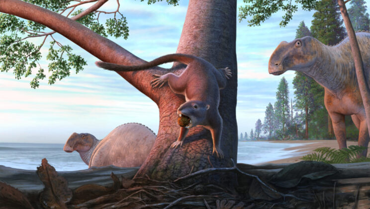 Researchers Uncover The 75 Million Year Old Secret To Surviving A Mass Extinction