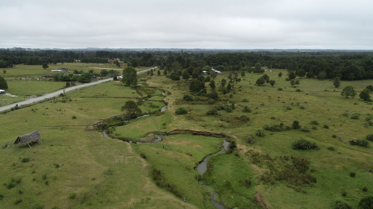 Scientists Are Fighting Over Whether the Most Famous Site in South America Is a 6,000-Year-Old Mistake