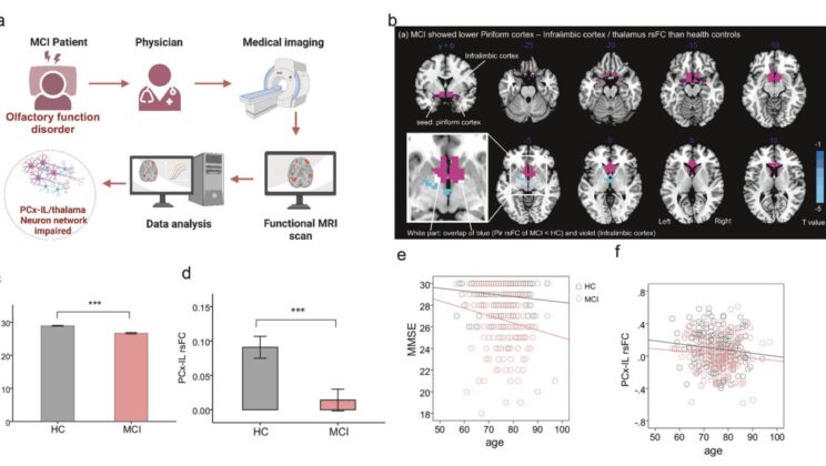 Your Nose Might Reveal Alzheimer’s Years Before You Start Losing Your Memory