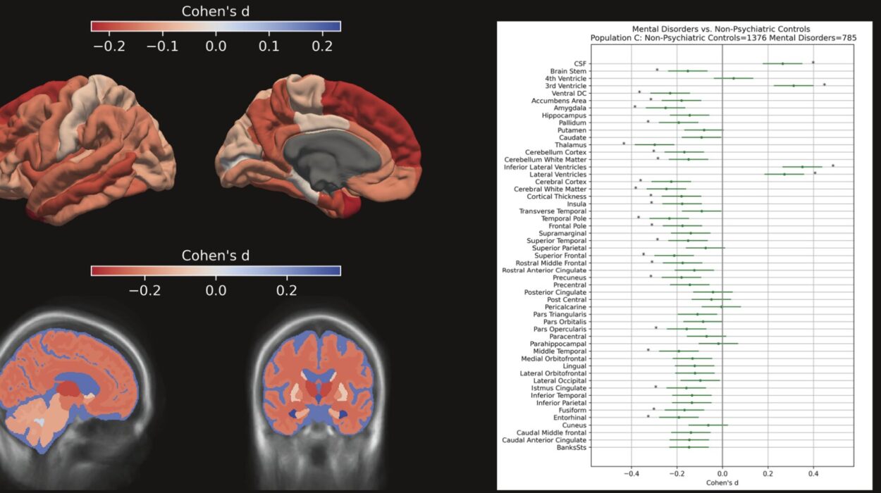 Your Last Routine Hospital Brain Scan Might Hold the Secret to Your Mental Health