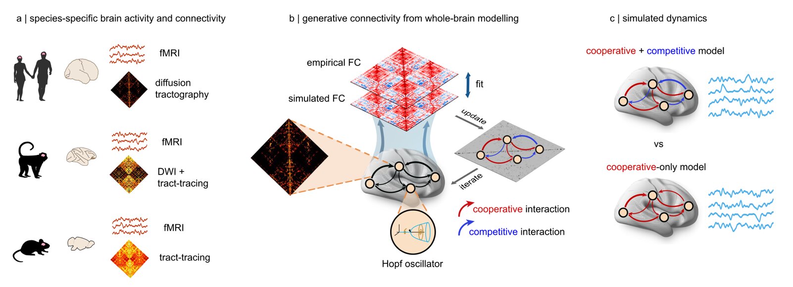 Scientists Discover That Thoughts Actually Fight Each Other for Space in Your Mind