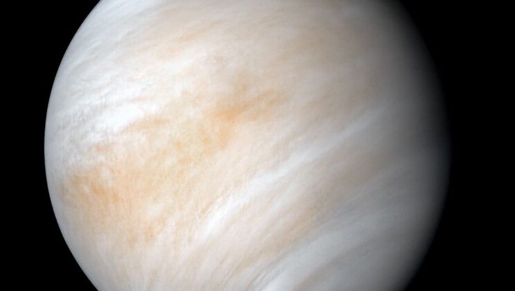 The Venus Mystery: Why Scientists Think Life is Hiding in the Clouds