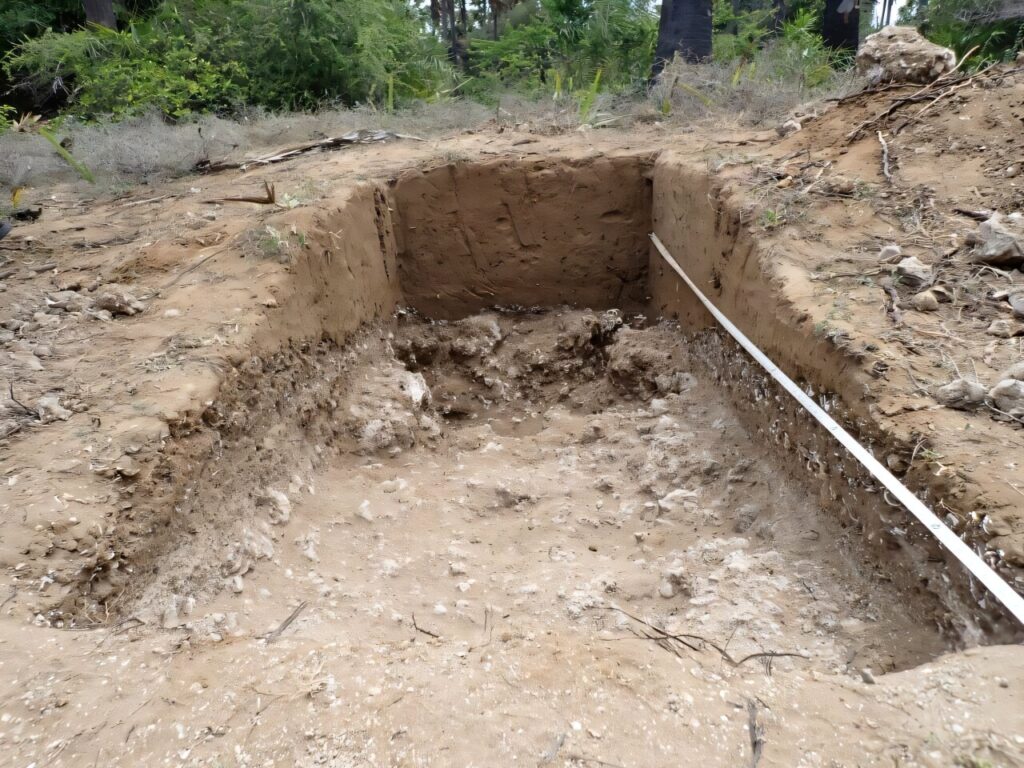 Ancient Shell Mound in Sri Lanka Reveals Earliest Confirmed Human Settlement in the North