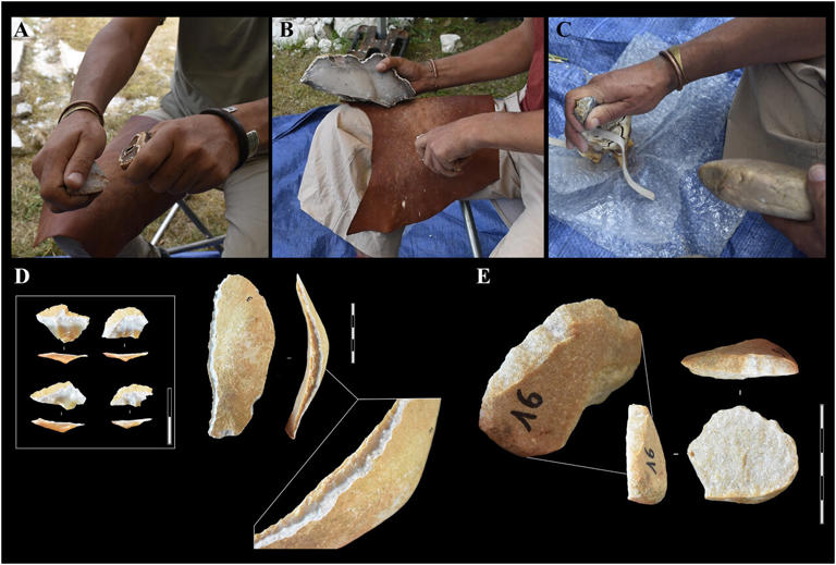 Neanderthals May Have Turned Rhino Teeth Into Tough Tools for Stoneworking
