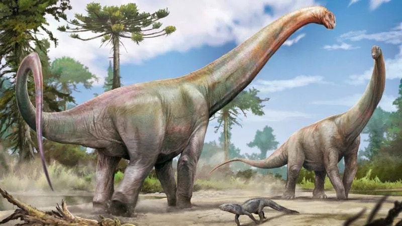 Giant 20-Meter Dinosaur Found 8 Meters Underground at a Brazil Construction Site