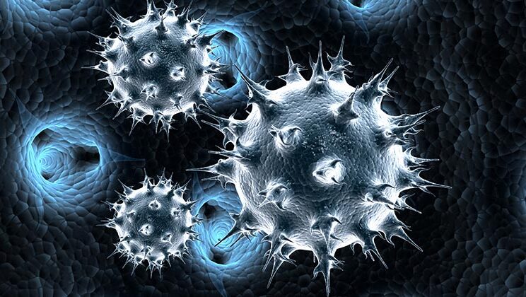 Why Do Humans Have So Many Diseases? Evolution’s Dark Side