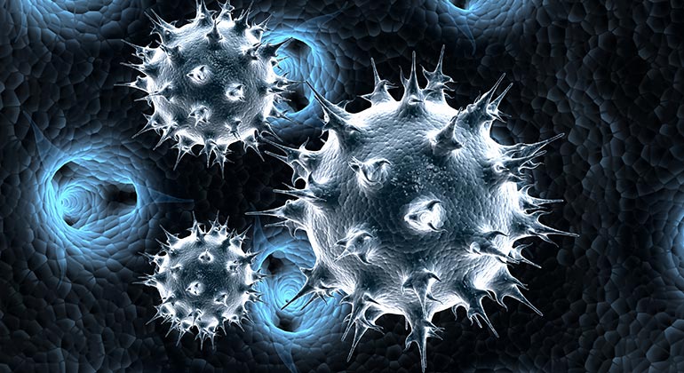Why Do Humans Have So Many Diseases? Evolutions Dark Side