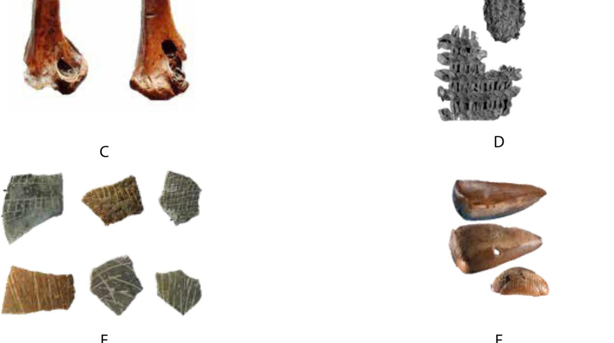 Study Finds Early Humans May Have Relied on Portable Containers as Far Back as 500,000 Years Ago