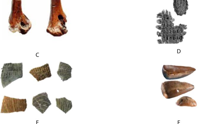 Study Finds Early Humans May Have Relied on Portable Containers as Far Back as 500,000 Years Ago