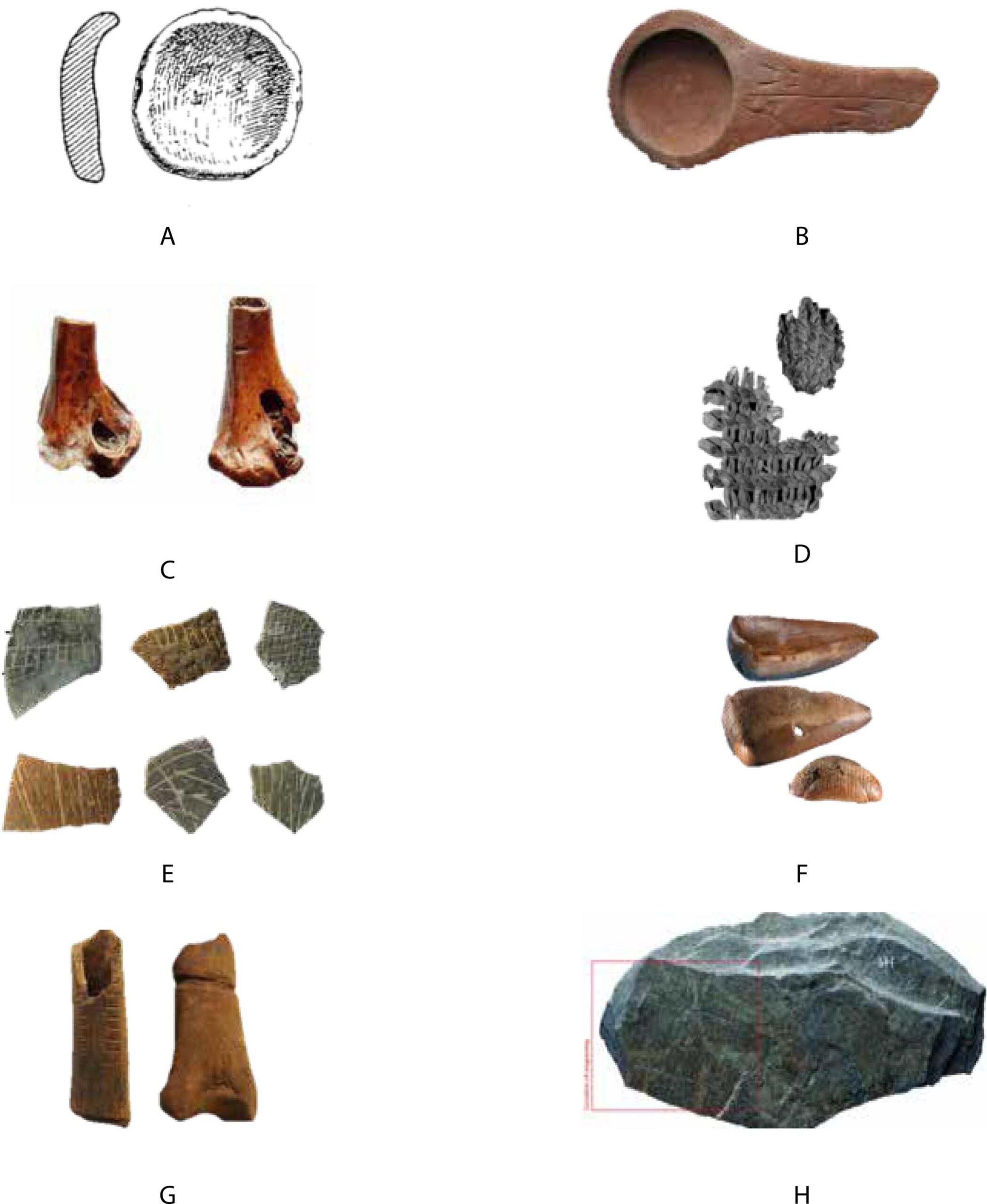 Study Finds Early Humans May Have Relied on Portable Containers as Far Back as 500,000 Years Ago