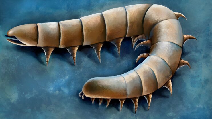This 437 Million Year Old Sea Creature Had Land Style Legs Long Before Animals Left the Ocean