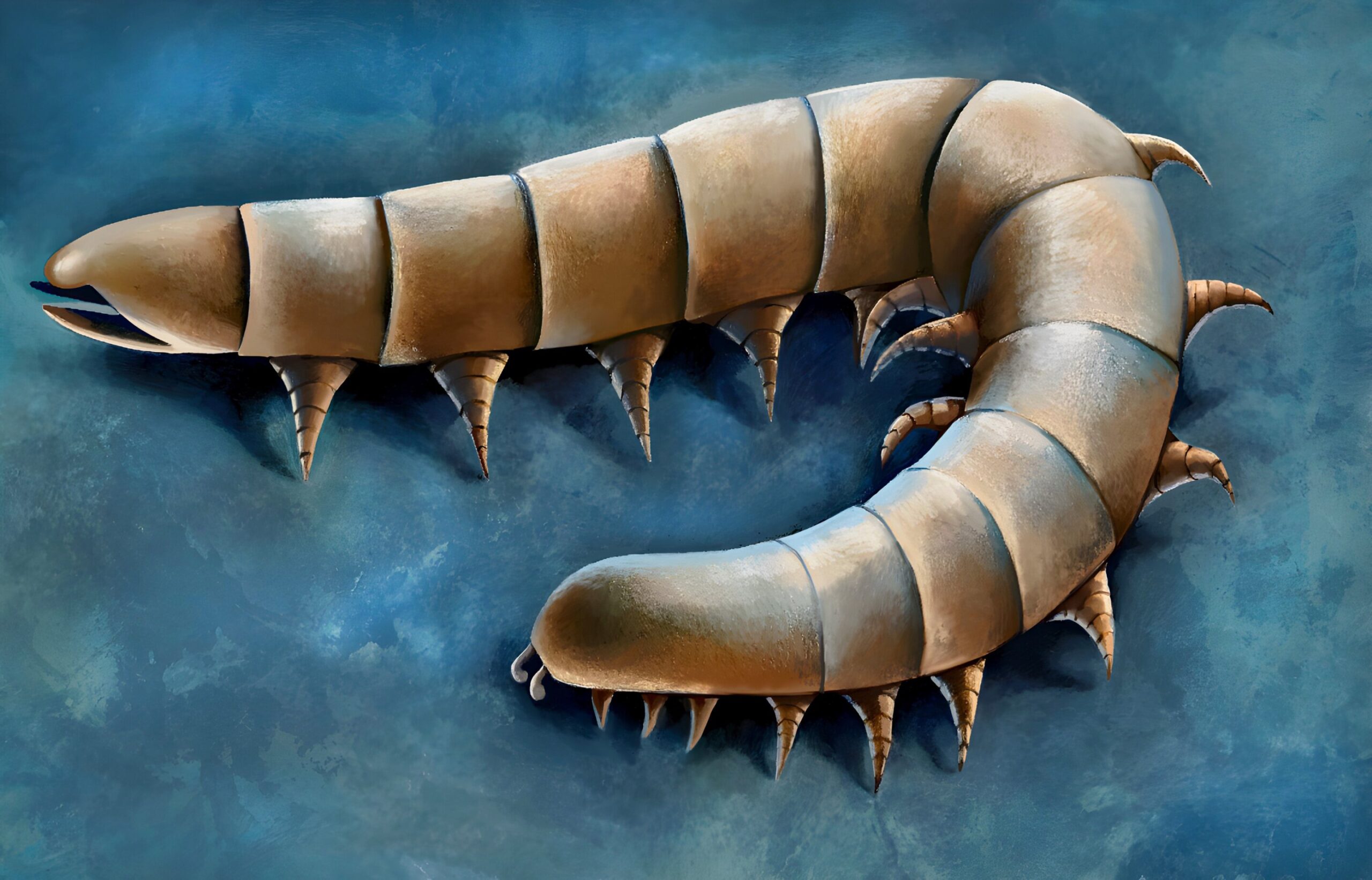 This 437 Million Year Old Sea Creature Had Land Style Legs Long Before Animals Left the Ocean