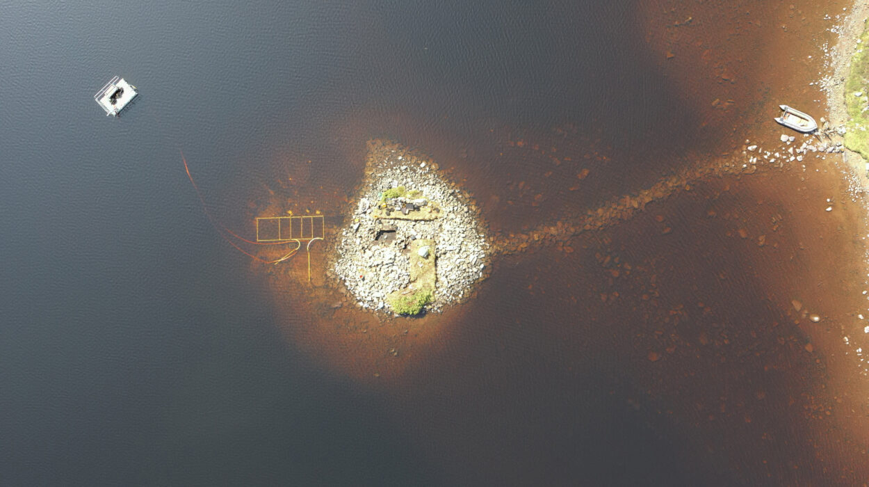 Ancient Scottish Crannog Revealed as 5,000-Year-Old Engineered Island Older Than Stonehenge