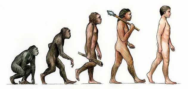 What If Humans Never Evolved from Apes?