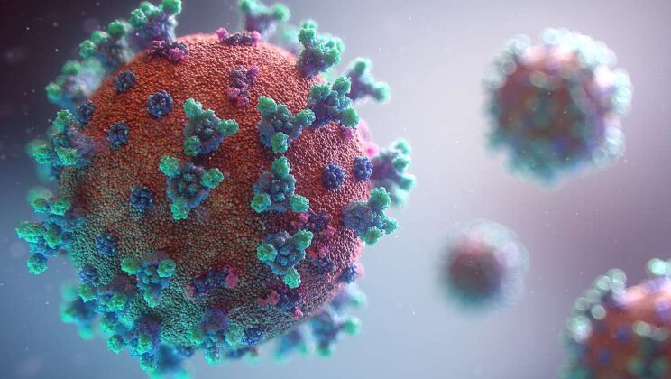 What Happens Inside Your Body When a Virus Attacks?