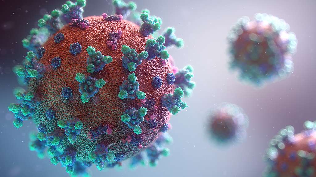 What Happens Inside Your Body When a Virus Attacks?