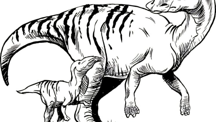 Baby Dinosaurs May Have Eaten Better Than Adults, Tooth Wear Study Suggests