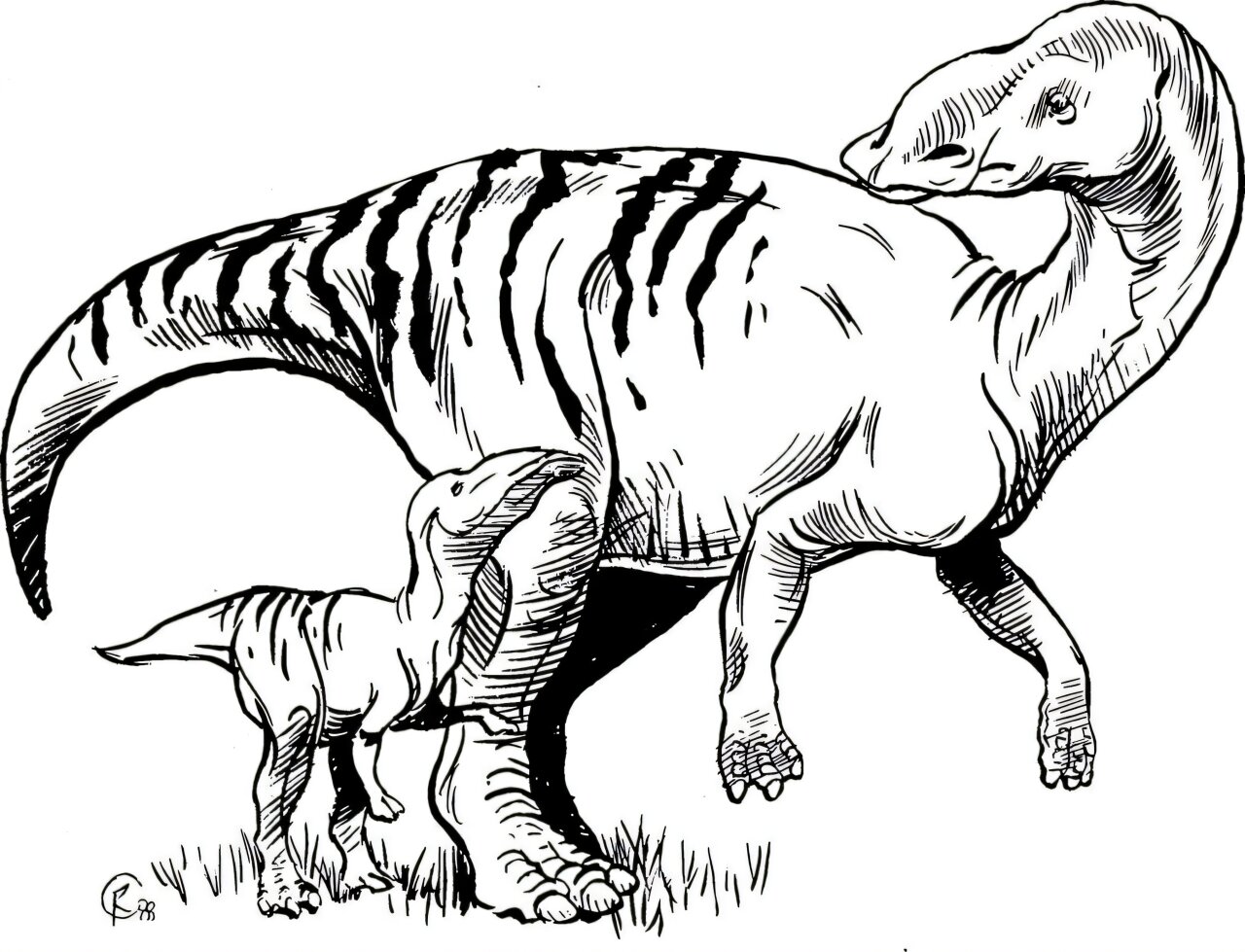 Baby Dinosaurs May Have Eaten Better Than Adults, Tooth Wear Study Suggests