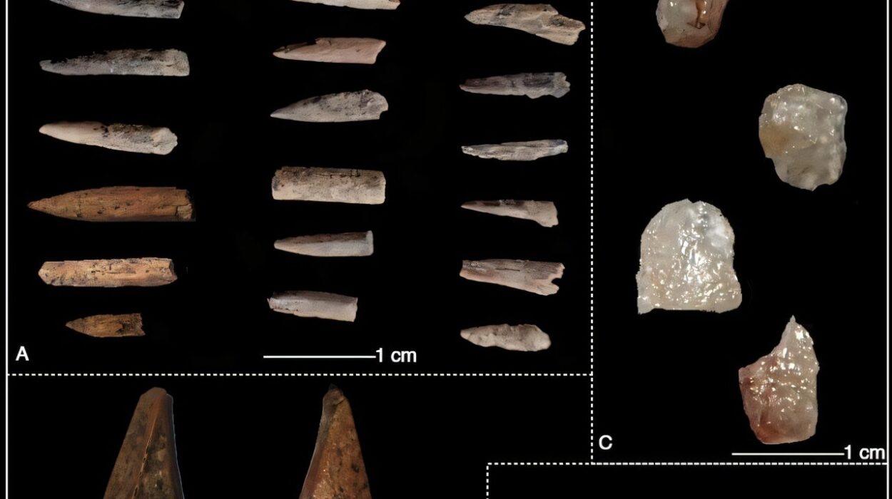Ancient Shell Mound in Sri Lanka Reveals Earliest Confirmed Human Settlement in the North