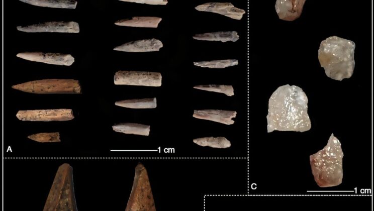Ancient Shell Mound in Sri Lanka Reveals Earliest Confirmed Human Settlement in the North
