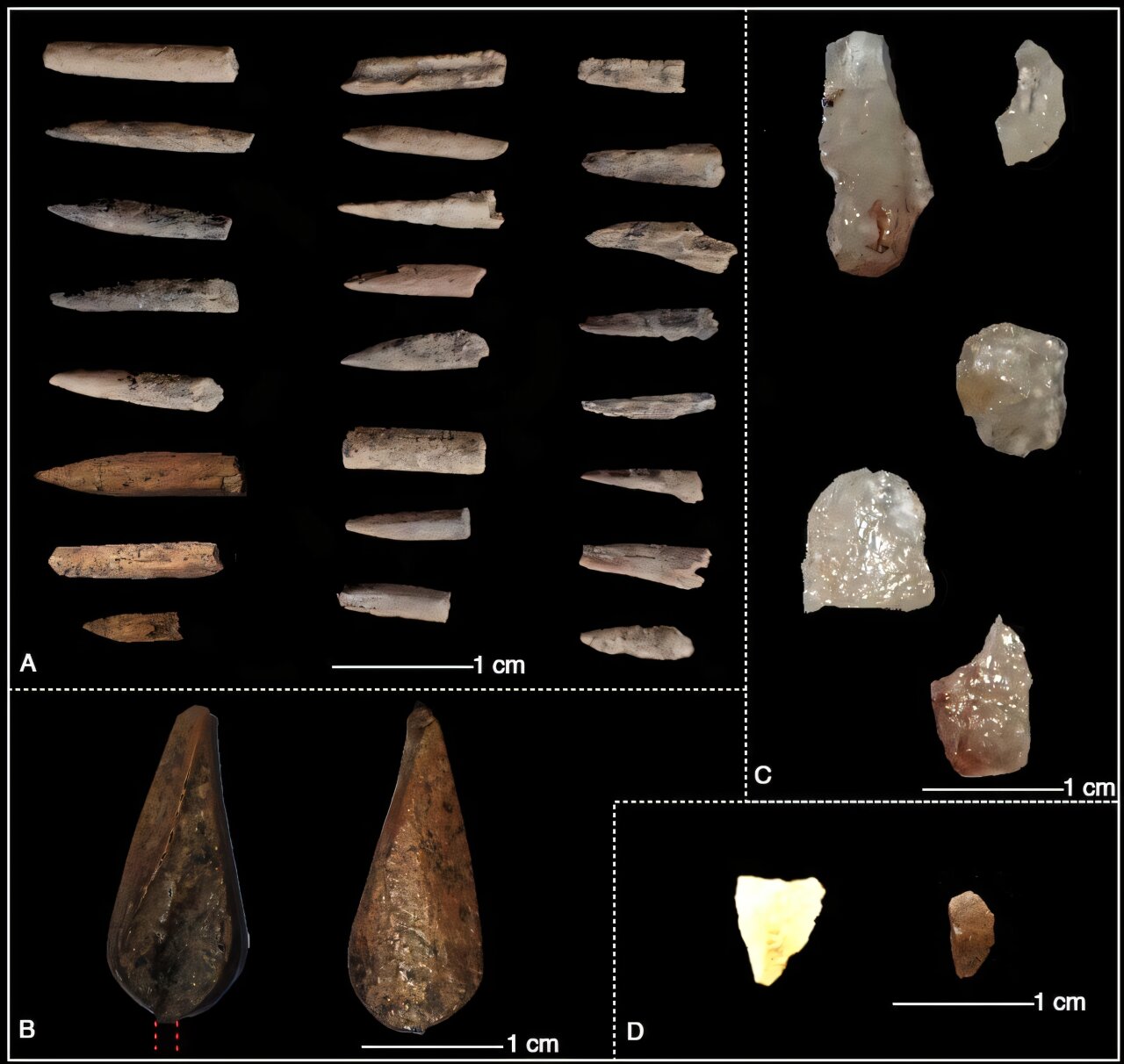 Ancient Shell Mound in Sri Lanka Reveals Earliest Confirmed Human Settlement in the North