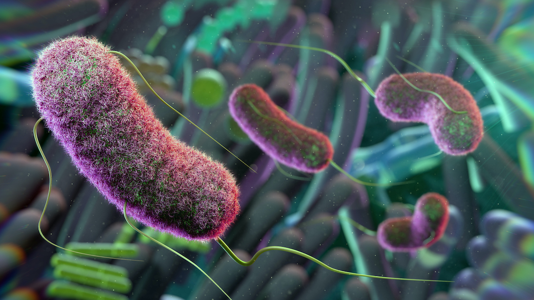 The Hidden Microbes Living in Your Gut That Control Your Mood