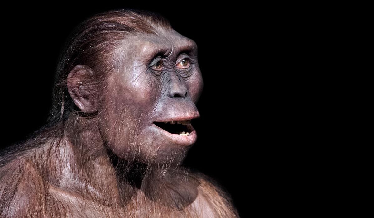 Why Did Humans Lose Their Body Hair? Evolutions Strange Decision