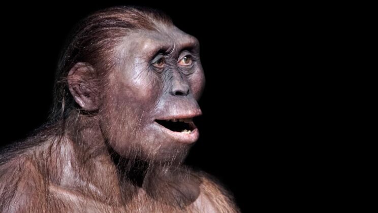 Why Did Humans Lose Their Body Hair? Evolution’s Strange Decision
