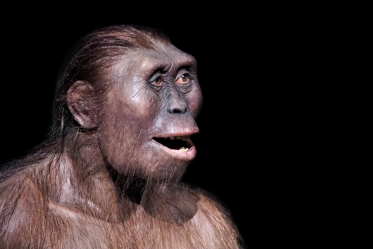 Why Did Humans Lose Their Body Hair? Evolutions Strange Decision