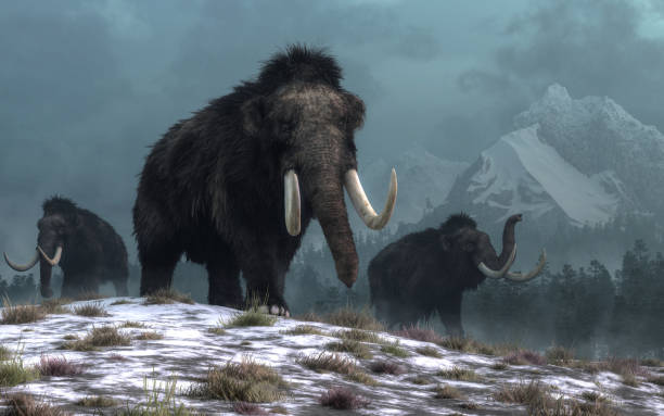 The Americas Never Recovered From The Devastating Loss Of Ice Age Megafauna