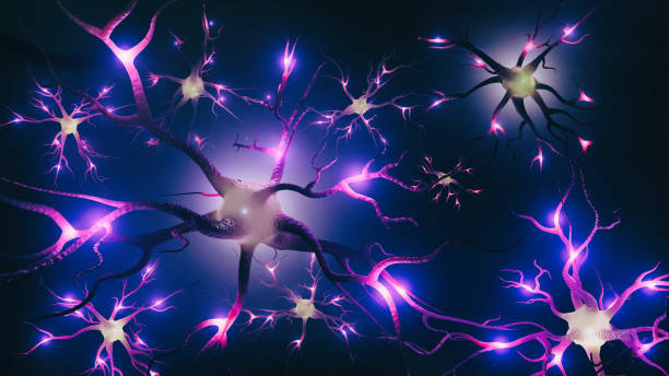 Scientists Build First Custom Biological Wire That Creates New Electrical Brain Connections