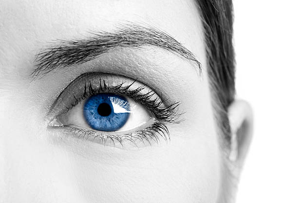 Why Do Some People Have Blue Eyes? The Genetic Mystery