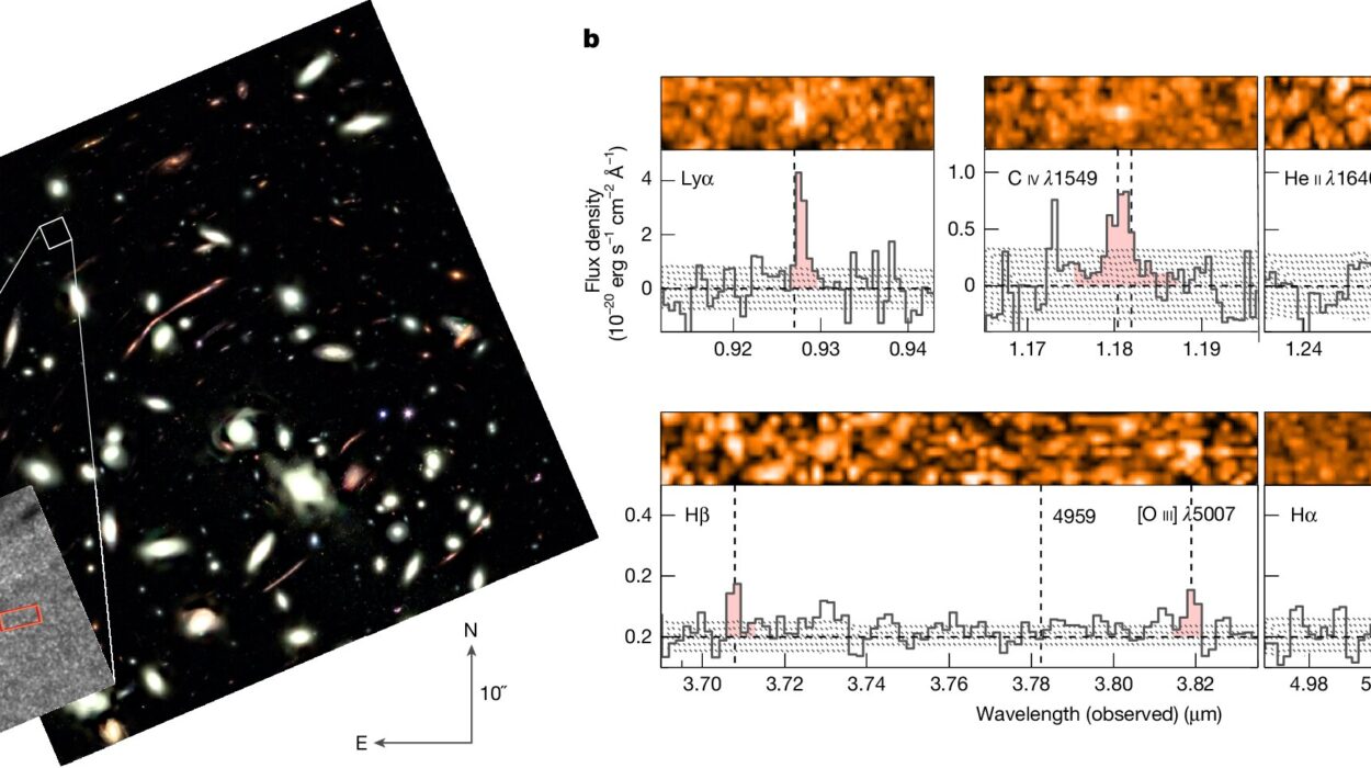 JWST Spots a 13-Billion-Year-Old Galaxy That May Preserve Signs of the Universes First Stars