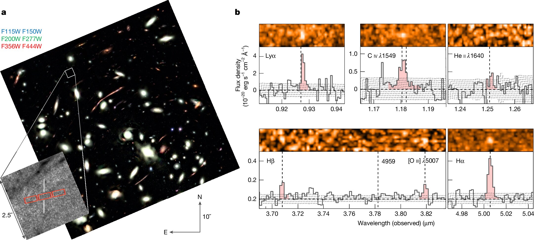 JWST Spots a 13-Billion-Year-Old Galaxy That May Preserve Signs of the Universes First Stars