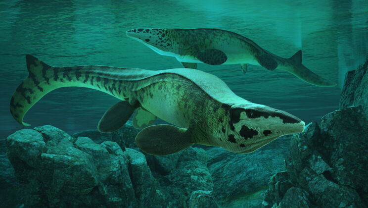 Giant ‘T. rex of the Seas’ Discovered in Texas Was Even More Violent Than Other Mosasaurs