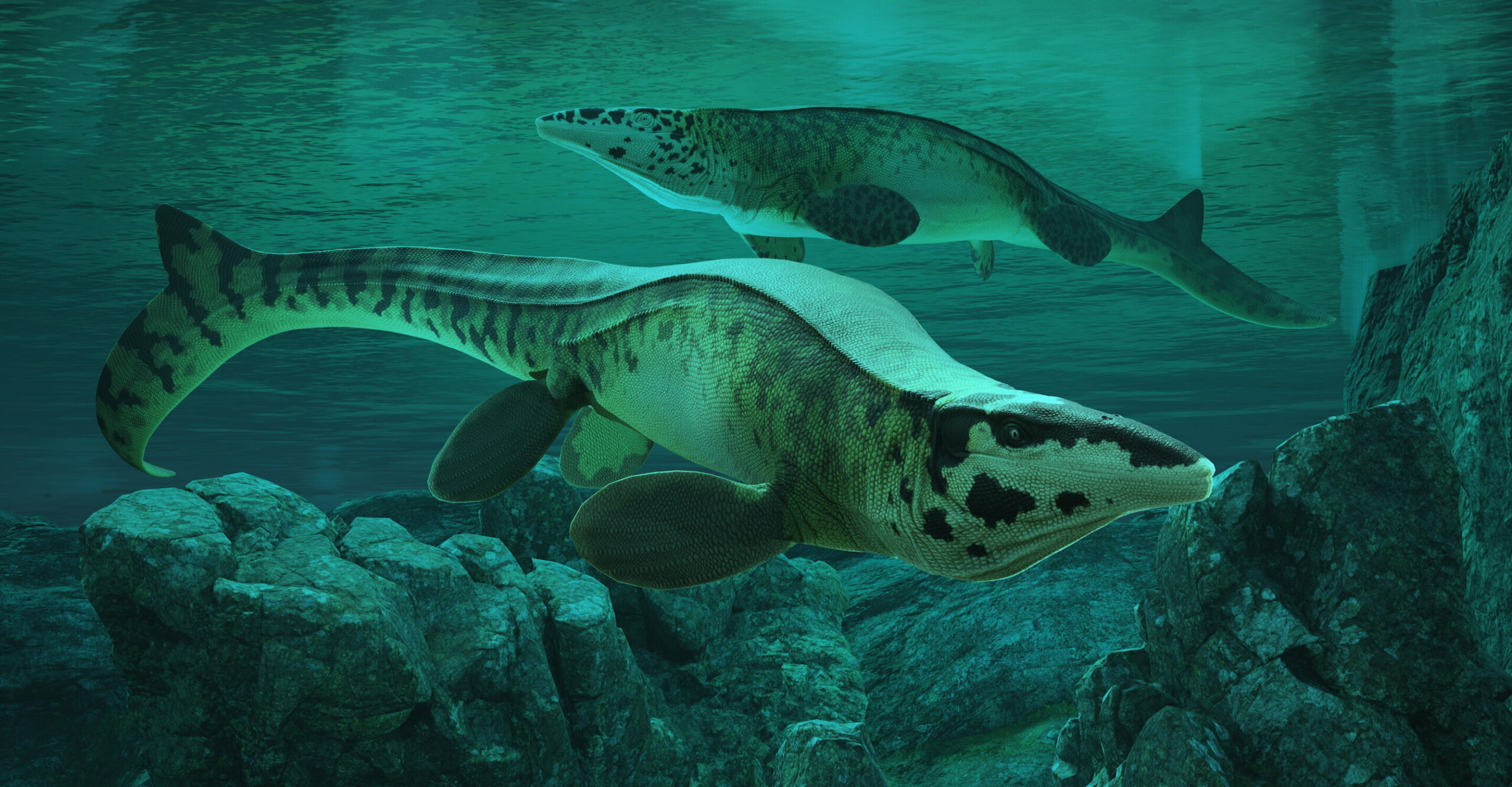 new species of massive - Giant T. rex of the Seas Discovered in Texas Was Even More Violent Than Other Mosasaurs