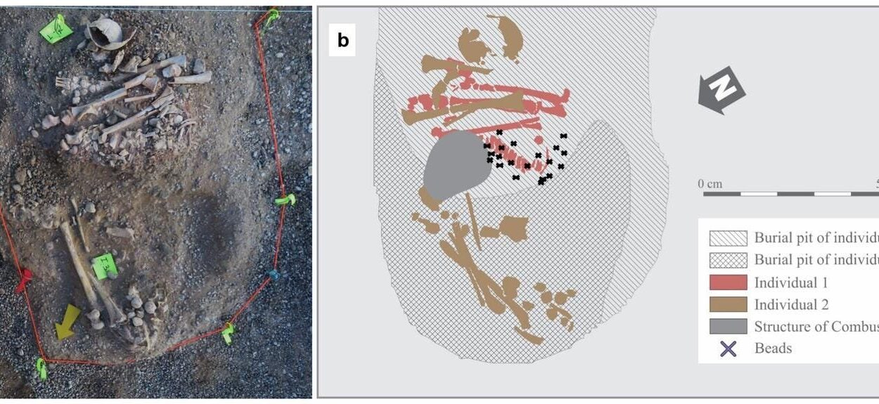 Scientists Discover 10,000 Year Old Remains of the First Atlantic Coastal Settlers
