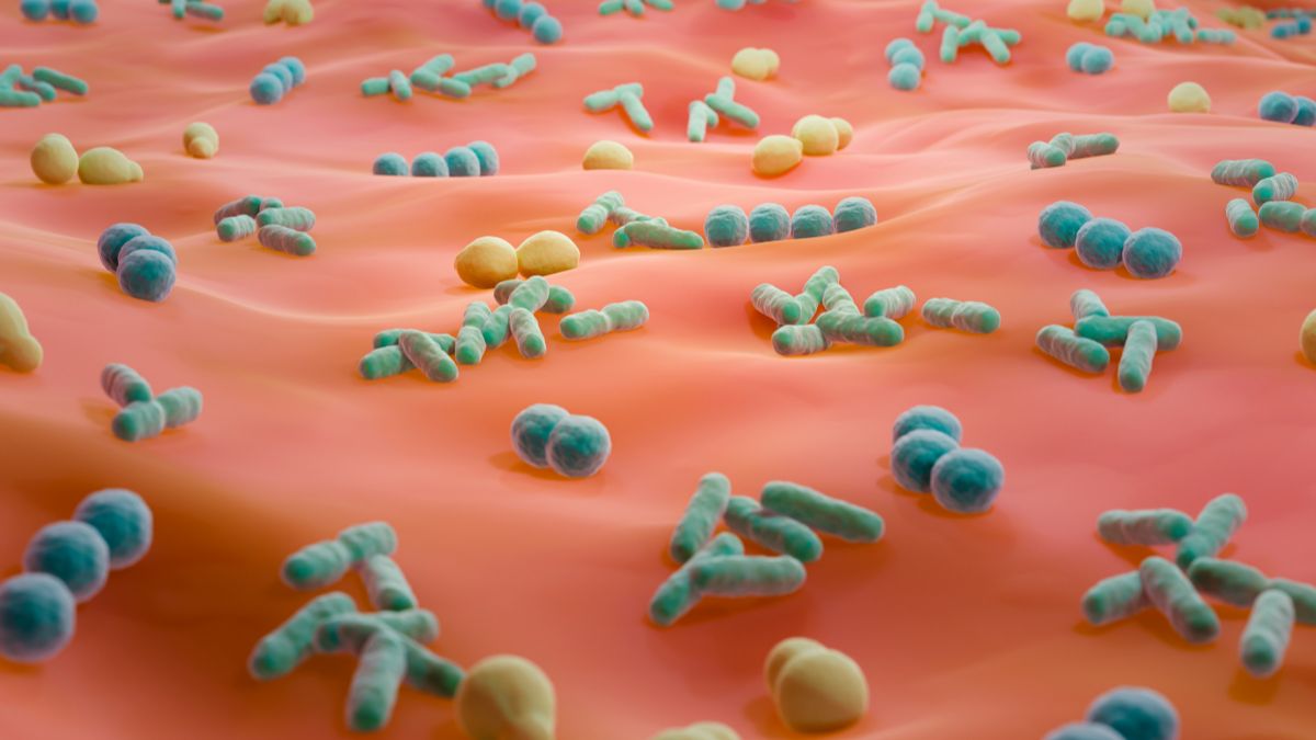 The Most Dangerous Bacteria Living on Your Skin Right Now